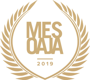 Mesoaja 19 logo