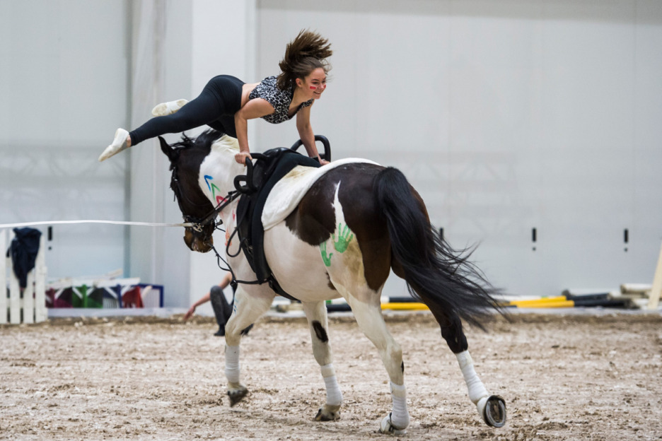 Vikellys kuuluu Helsinki Horse Fair -messujen ohjelmaan.